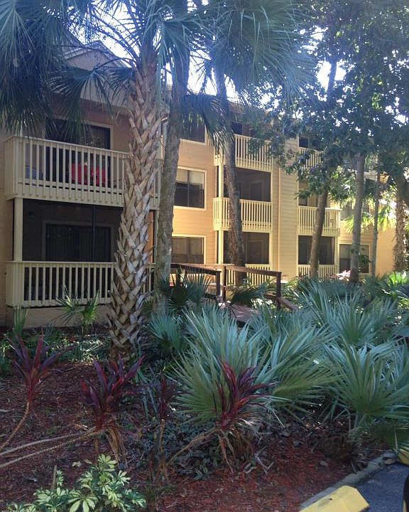 1st image of 1401 S Palmetto Ave APT 702