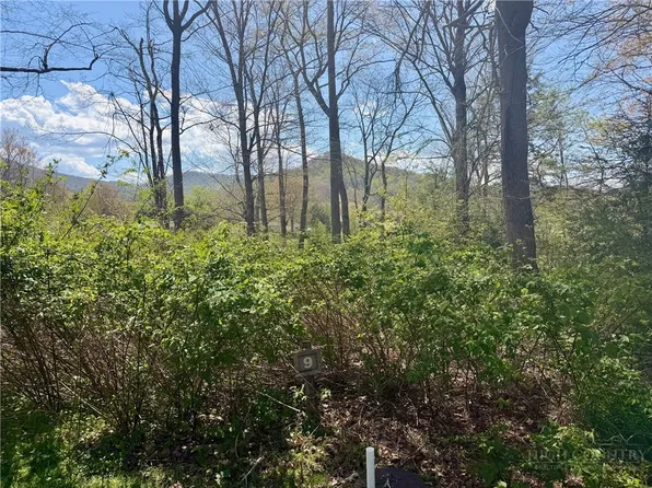 Lot 9 Pasture Lane, Banner Elk, NC 28604
