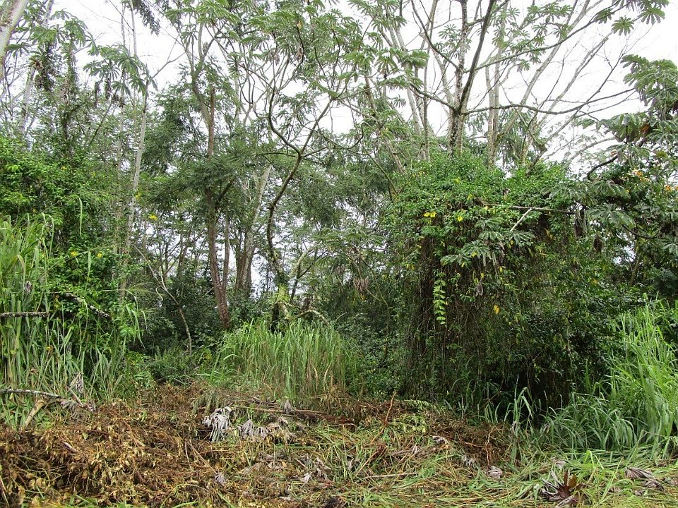 2nd image of 8th Ave Lot 1027