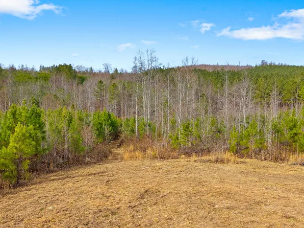 0 Redman Ln, Decatur, TN 37322