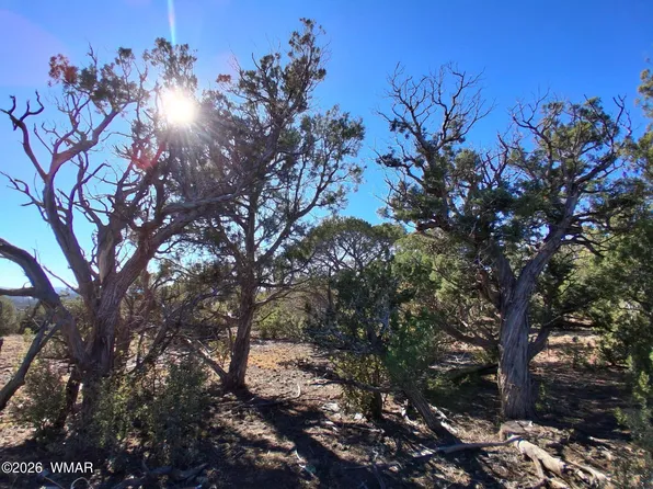 203 County Rd, Concho, AZ 85924