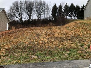 156 Wilkshire Pl, Bristol, TN 37620