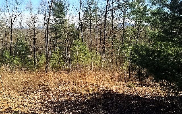 2nd image of 958 Sierra Cir
