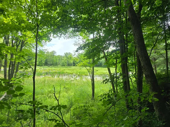 0 Williams Rd #6, Gouverneur, NY 13642