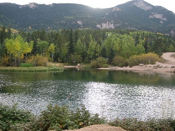 Stocked Trout Pond