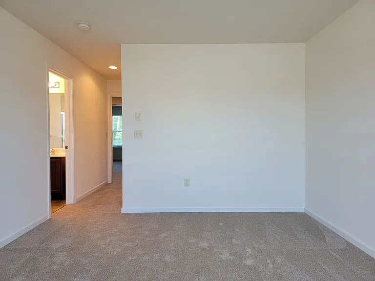402 Mount Olive Ln — Photo 17