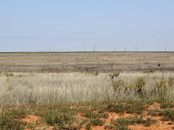 4th image of Farm To Market Hwy #1169