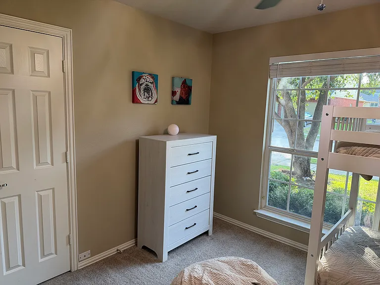 2820 Red Wolf Dr — Photo 19