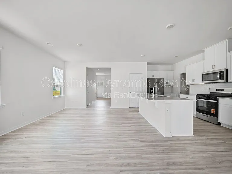 10105 Dancing Crane Way — Photo 10