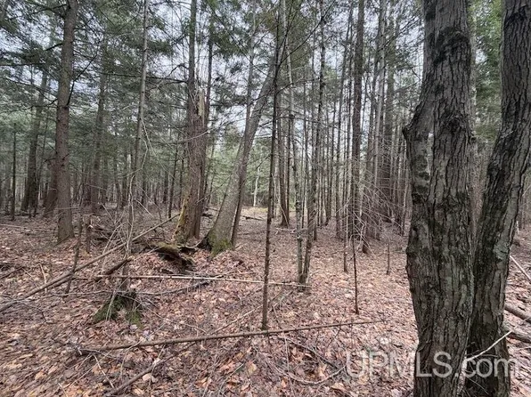 K Rd, Bark River, MI 49807