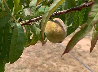 1999 Via Rancho Dos Ninas, Ramona, CA 92065