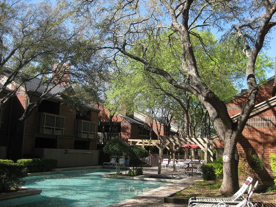 view from backyard