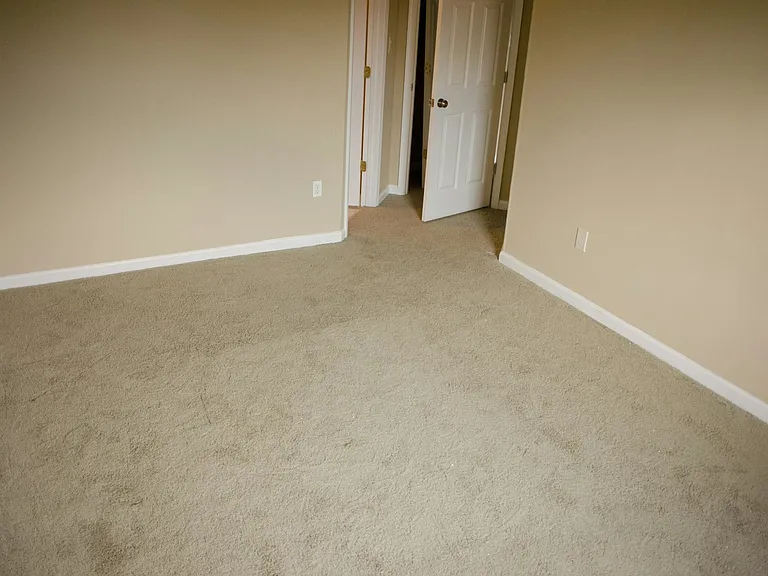 173 Royalty Cir — Photo 24