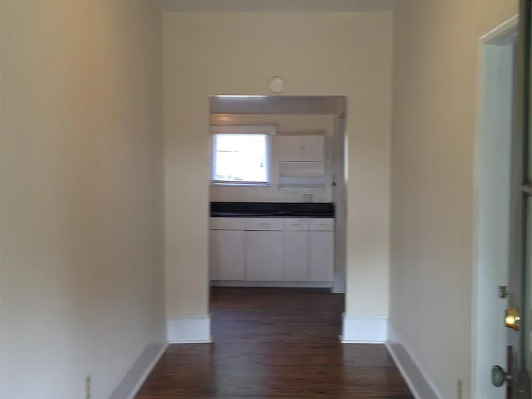 223 Lyndon Ave — Photo 3