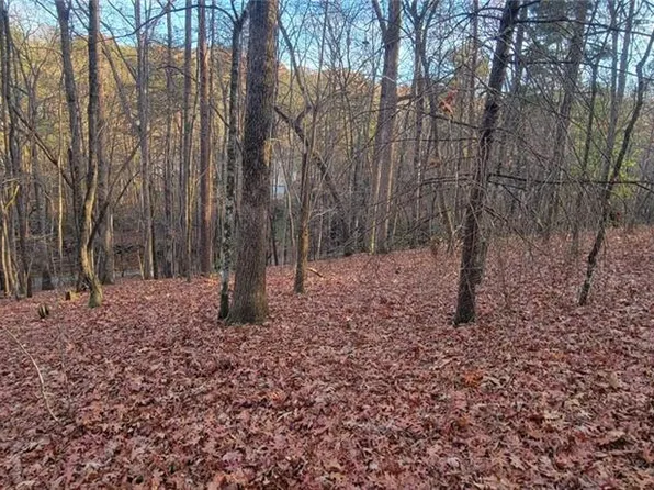 0 Joe Black Rd #123, Sautee Nacoochee, GA 30571