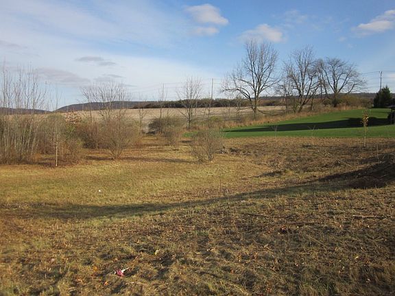 4th image of 195 Meadowsweet Dr