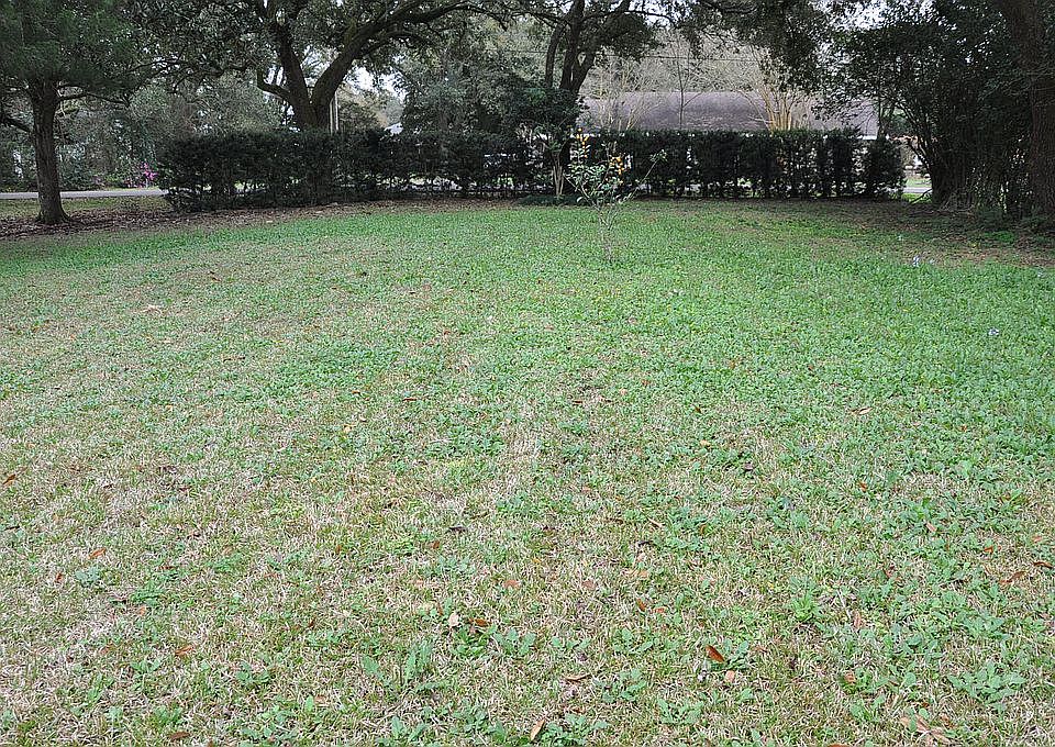 1st image of 304 Eastland Dr