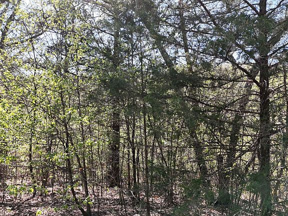 3rd image of Lot #94 Gumbo Woods