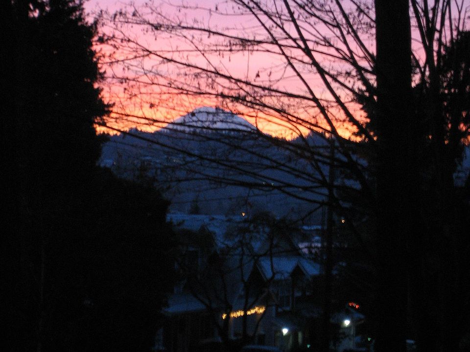 Rainier View from Living Room