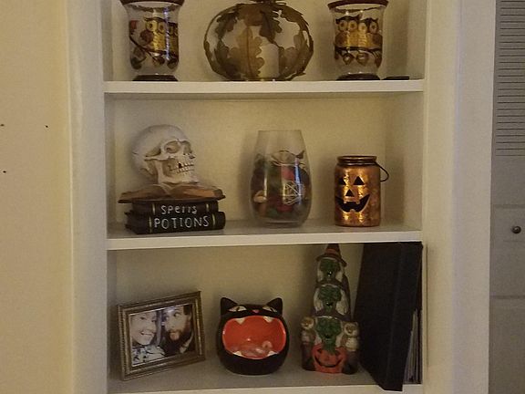 Built-In Bookcase in LR