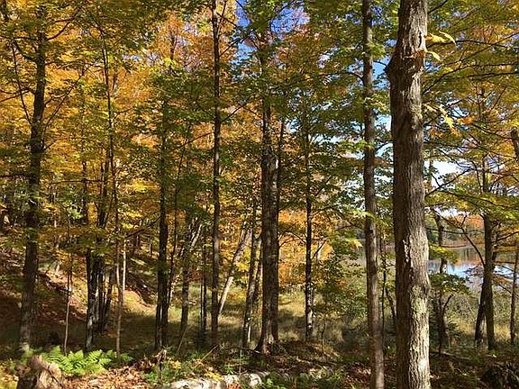3rd image of On Lynx Lake Rd