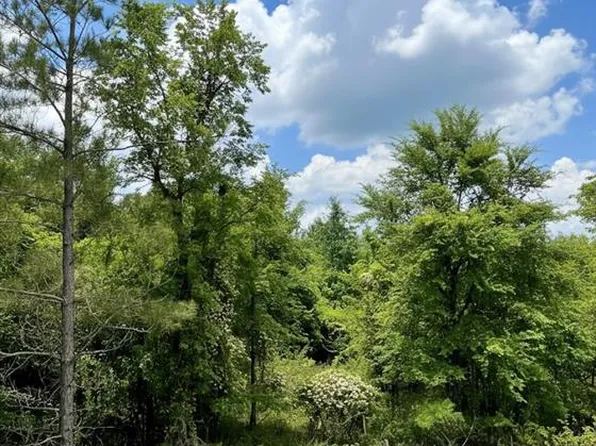667 Timber Creek Trl, Broken Bow, OK 74728