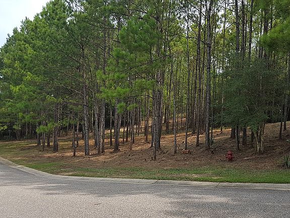 2nd image of Blakeley Oaks Dr S