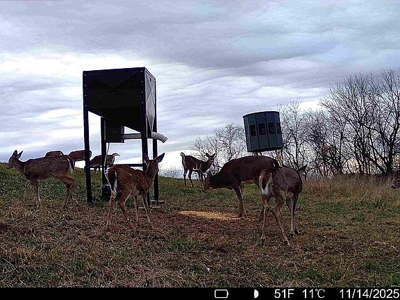 4th image of 0 Poplar Springs Rd