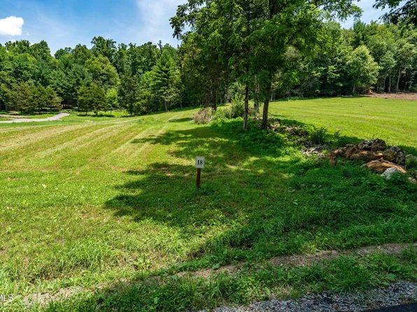 18 Vineyard Valley Dr, Butler, TN 37640