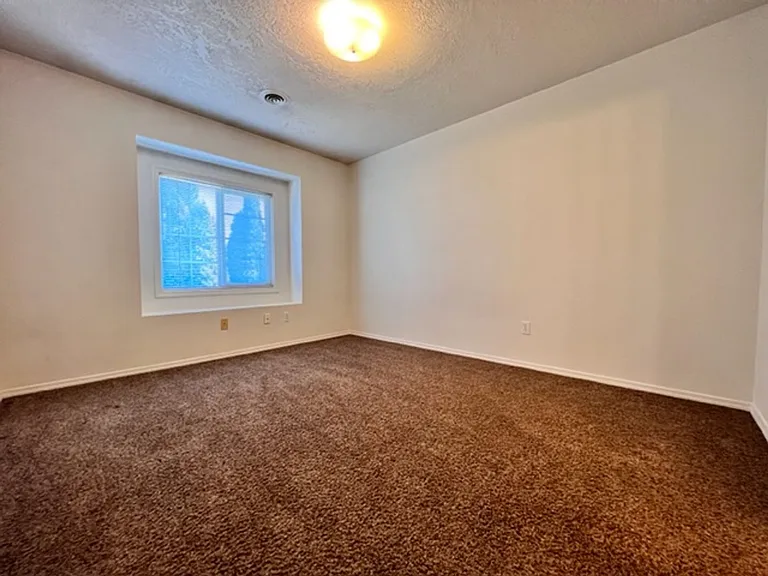 Stephen - 2238 — Photo 7