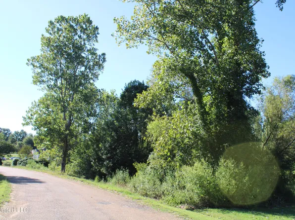 275 Strayhorn Lake Dr, Sarah, MS 38665