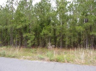 160 Satilla Plantation, Waynesville, GA 31566