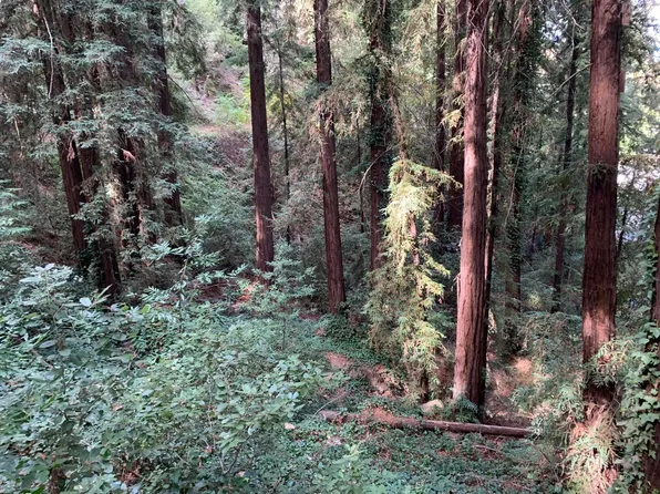 21745 Lindbergh Dr, Los Gatos, CA 95033