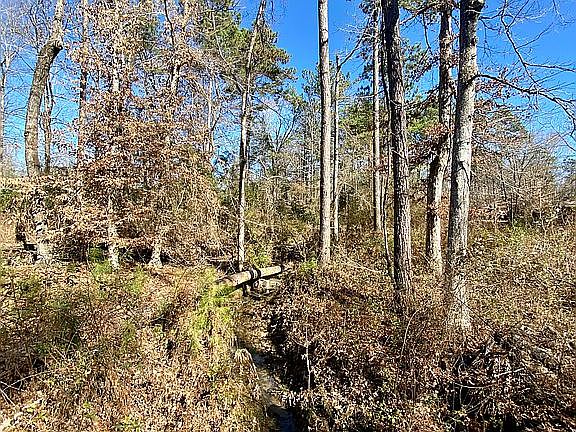 View of creek. 