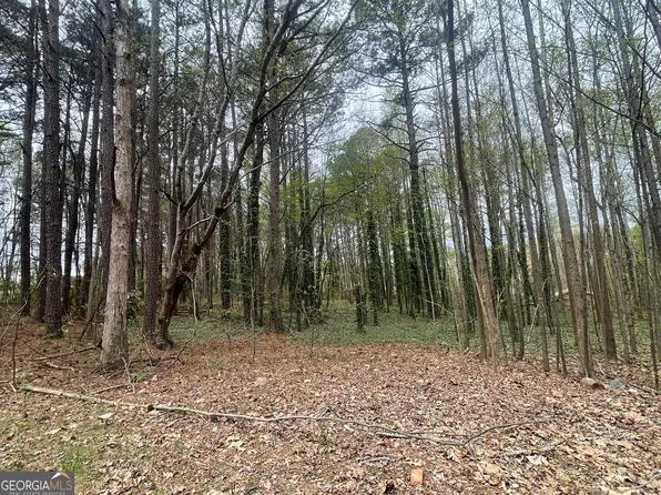 0 Mount Tabor Church Rd, Dallas, GA 30157