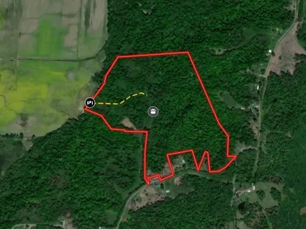 0 Bluff Rd, Hickman, KY 42050