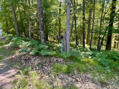 8017 Old Highway 51 Rd, Minocqua, WI, 54548