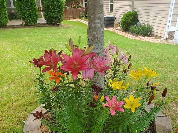 5th image of 19 Windsor Way