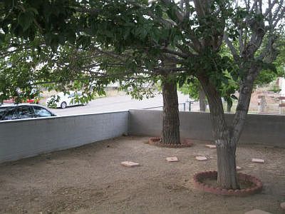 front yard