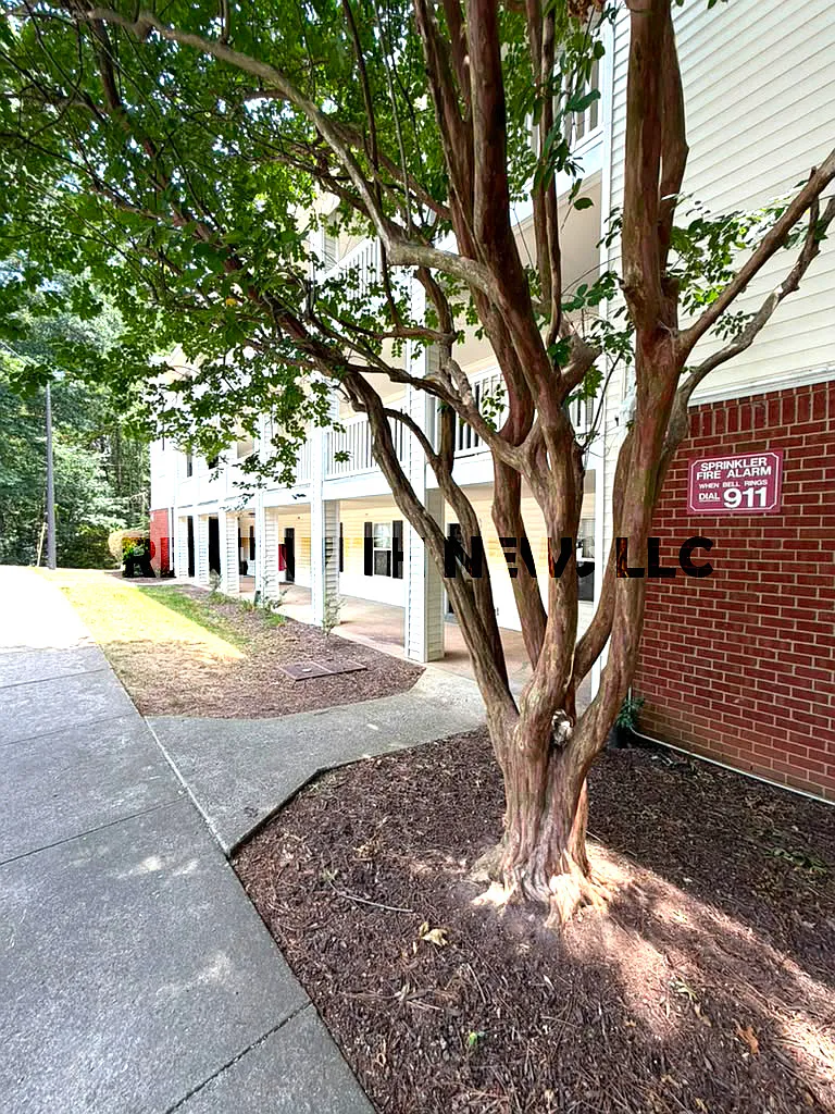 2 bed, 935 sqft, $1,250 — Photo 2