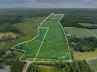 Old River Rd N, Statesboro, GA 30461