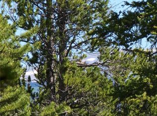 55 Peaceful Ct, Fairplay, CO 80440