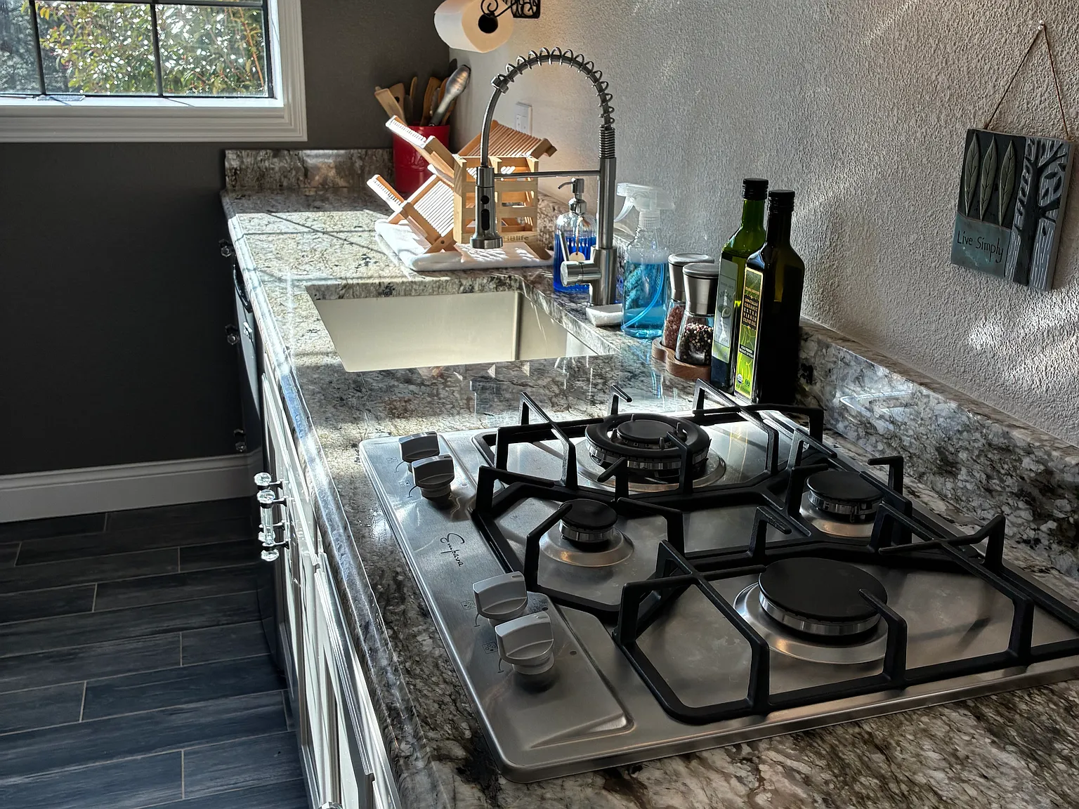 1 bed, 550 sqft, $1,700 — Photo 3