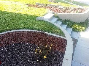 4th image of 43 W Perriwinkle Cir