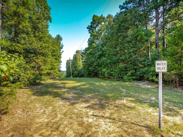 Next To 3750 Sunnyland Rd, Mountain View, AR 72560