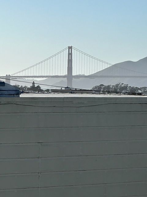 View from Deck