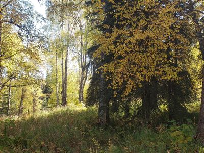 35850 Isbell St, Soldotna, AK, 99669