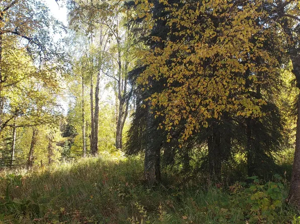 35850 Isbell St, Soldotna, AK 99669