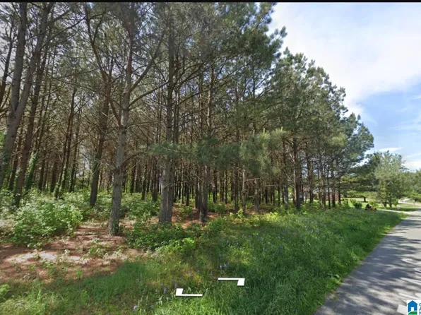 5th Ave S, Ashland, AL 36251