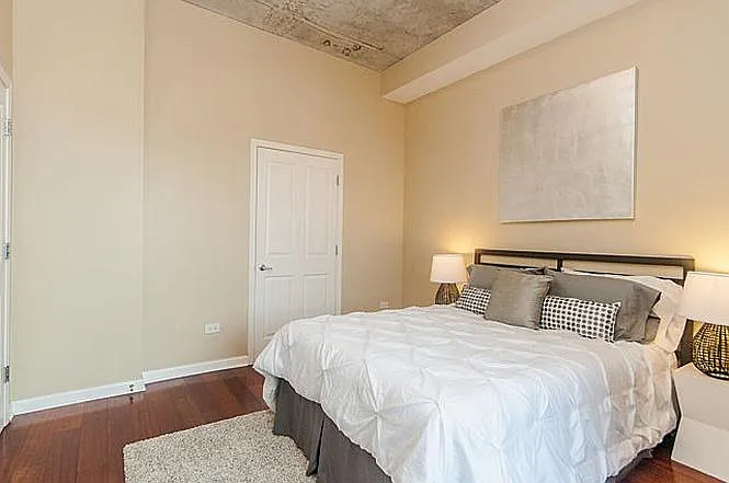 1464 S Michigan Ave #503 — Photo 11